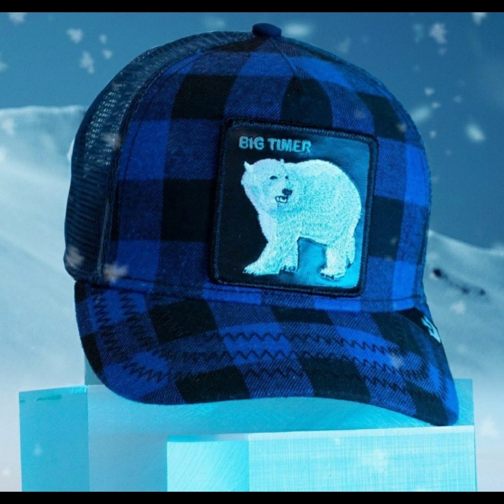 NEW GOORIN BROS HAT!